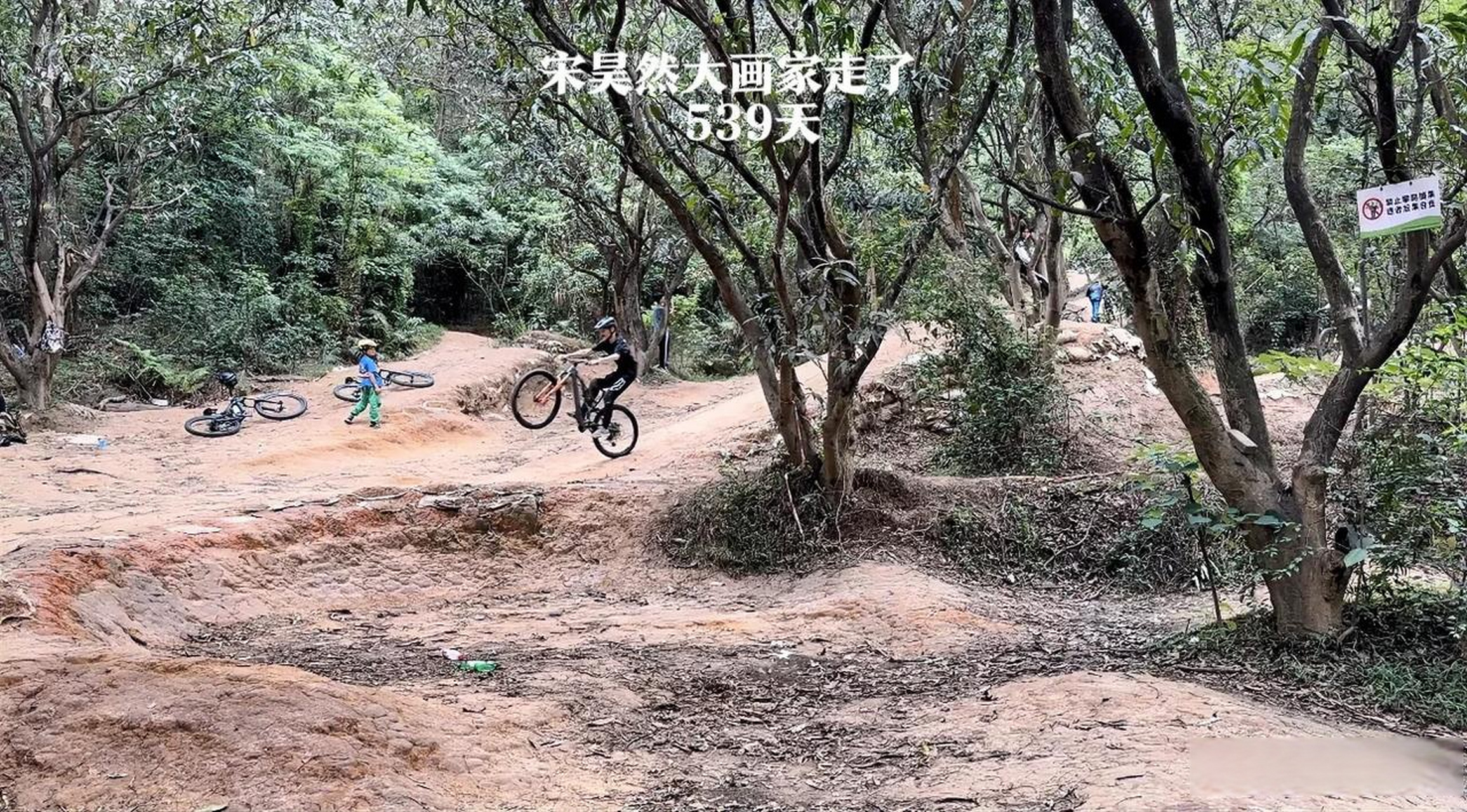 总在记忆里  孩子 或许是受前几日 平湖生态园远足影响 今天凌晨又
