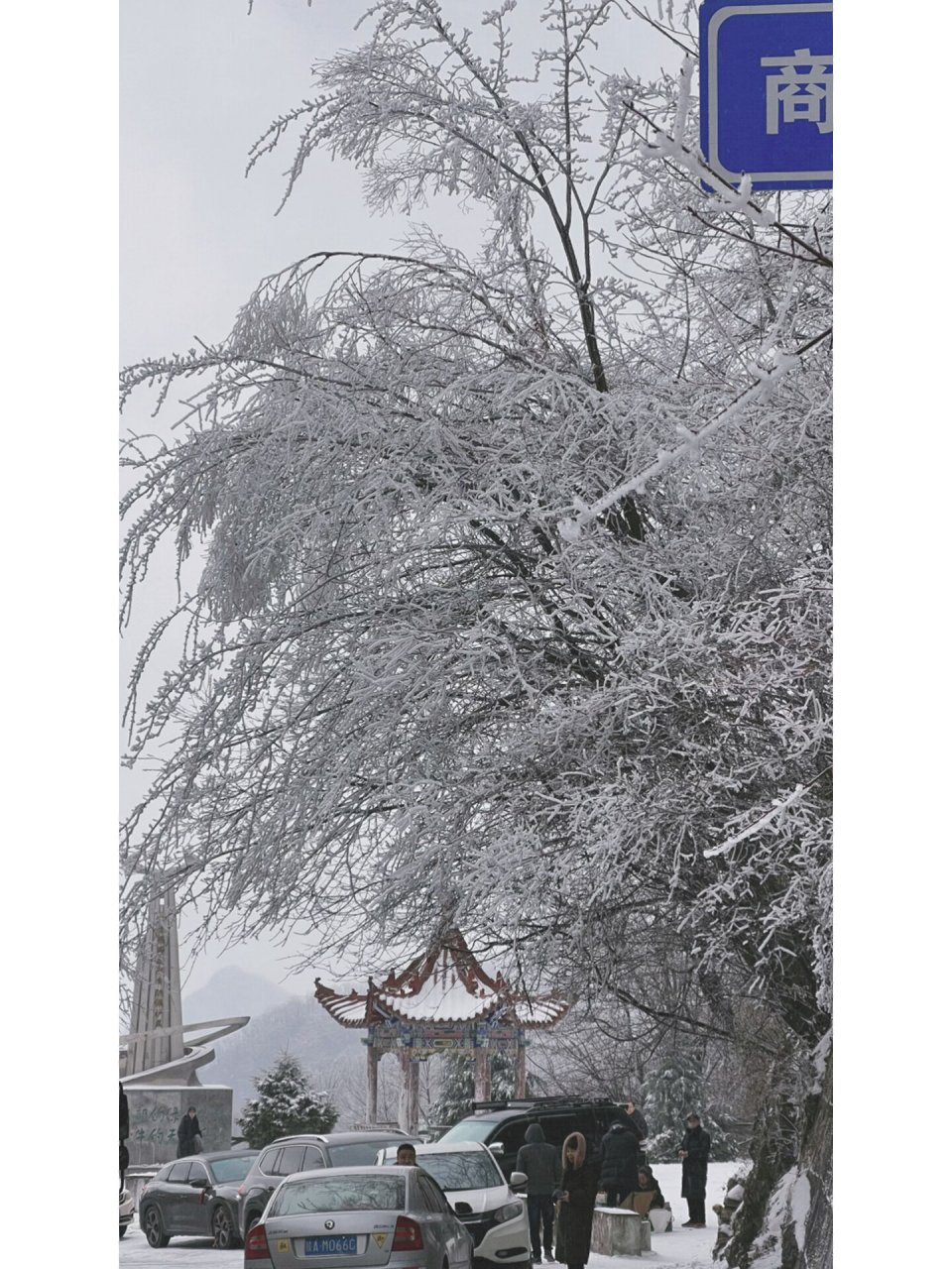 黄花岭雪景图片