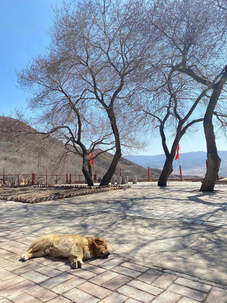 赤峰周边游·赤峰喀喇沁旗龙泉寺 家人们,这一定是一篇非常详尽的龙泉