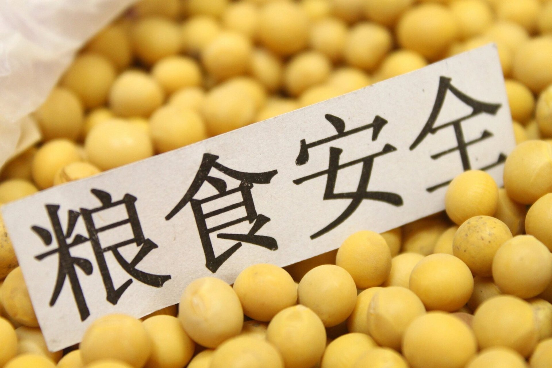 粮食安全名句 仓廪实而知礼节,衣食足而知荣辱. 仓廪实,天下安.