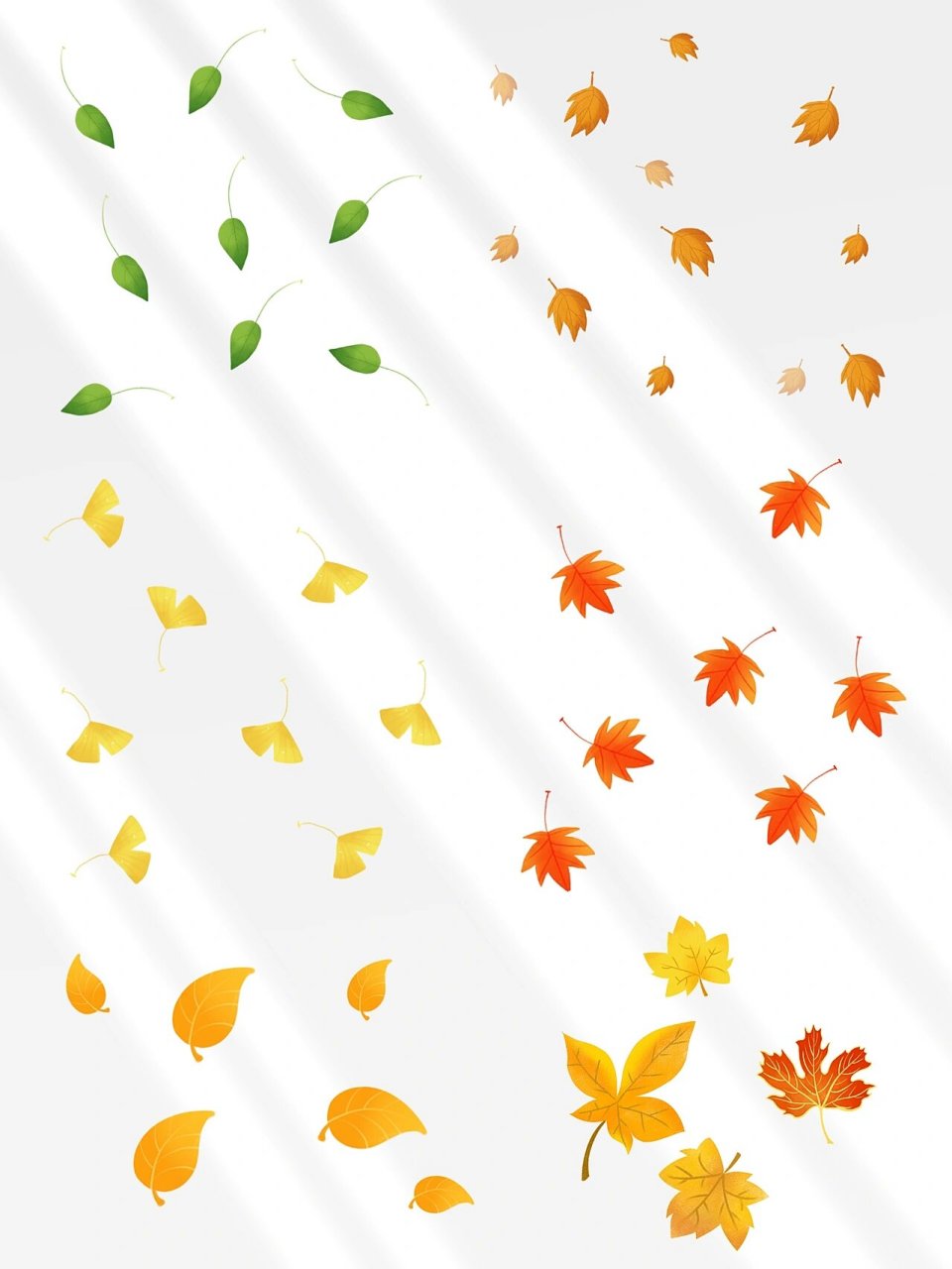 54款秋天落叶素材|93枫叶银杏叶|也太美了吧 97 今日分享『秋天