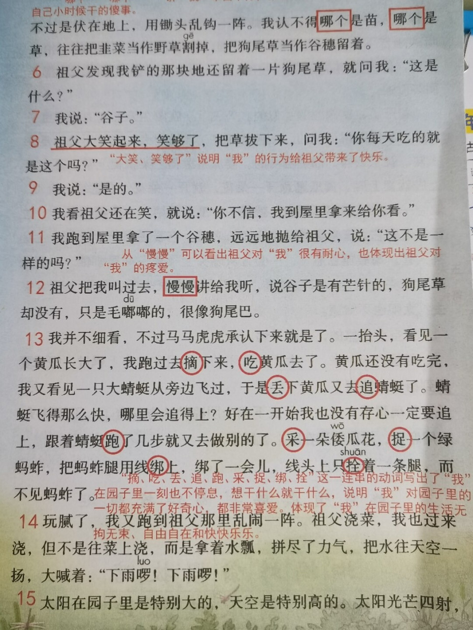 祖父的园子的笔记图片