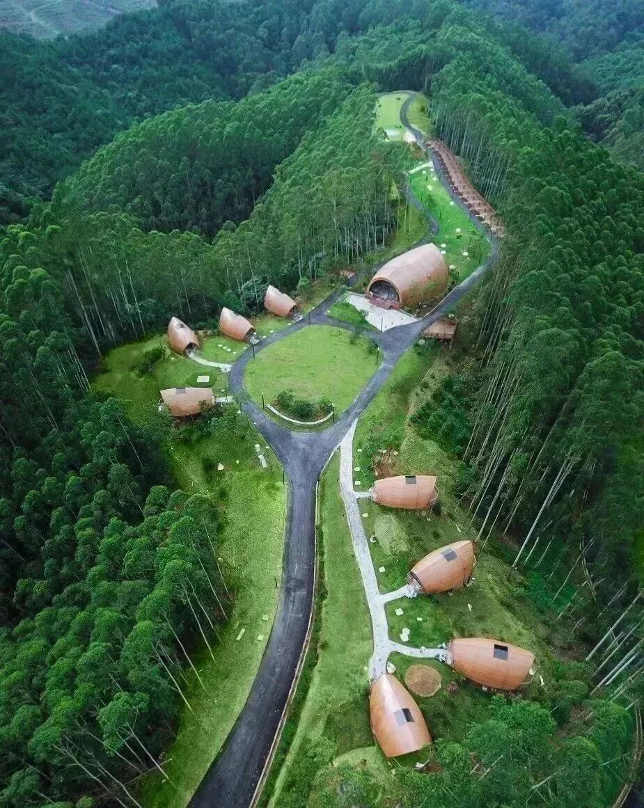 南宁9月秋行～高峰森林星空住宿露营 南宁高峰森林公园星空露营体验