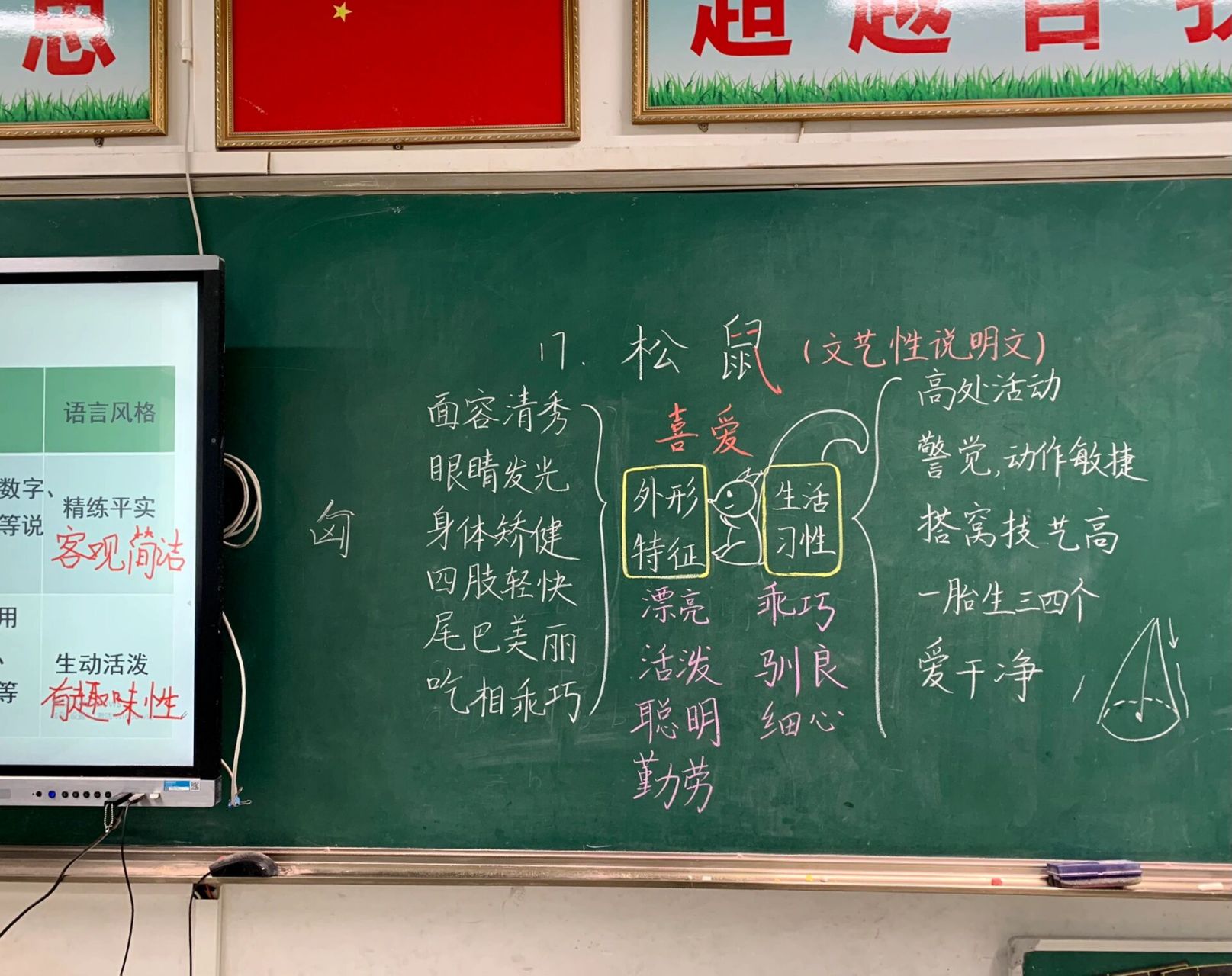 部编五上第17课《松鼠》板书设计  这是一篇文艺性说明文,与《太阳》