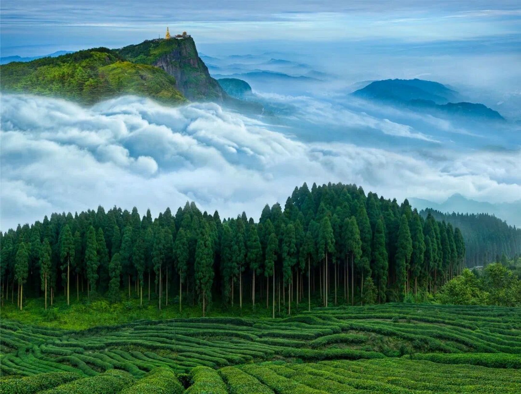 洪雅·七里坪 被誉为中国眉山七里坪国际旅游度假区 适宜温度,薄荷