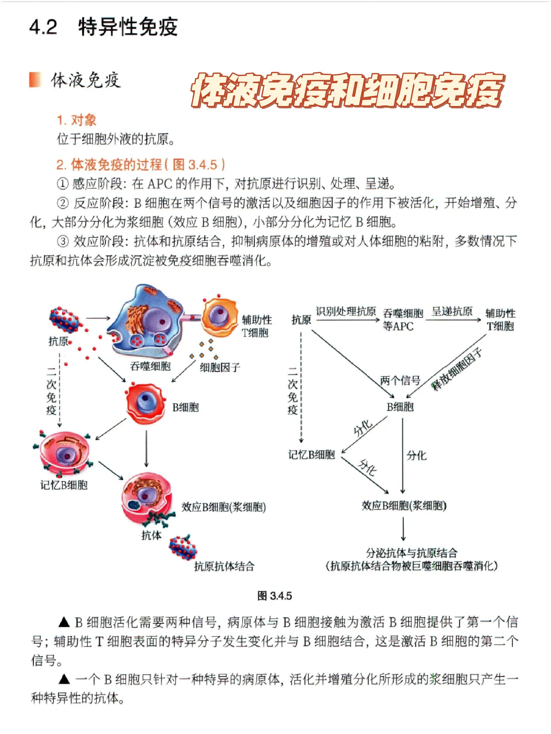 高中生物