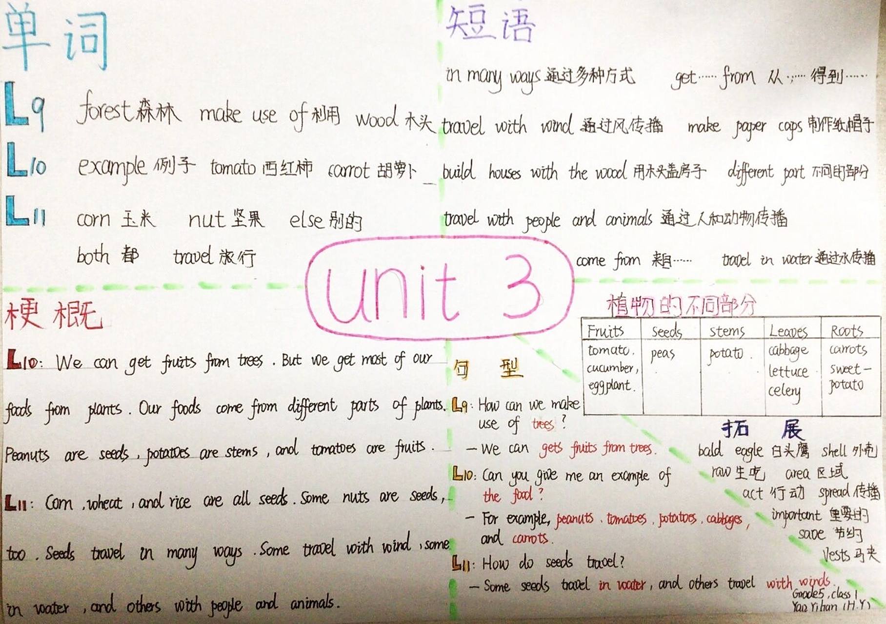 五年级下册英语 unit3思维导图