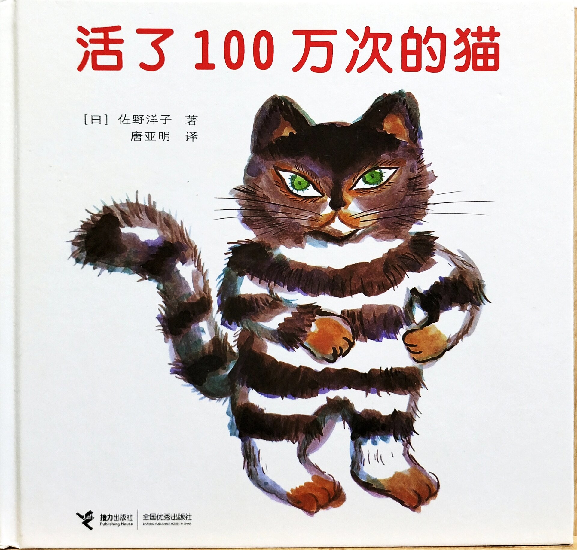 猫太太生宝宝绘本PPT图片