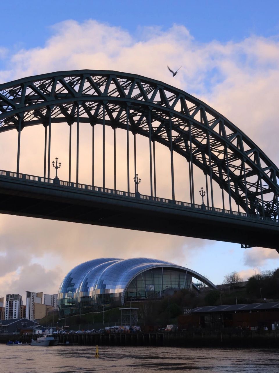 🇬🇧纽卡斯尔| newcastle冷冽又清朗的风 班级study tour来纽卡的