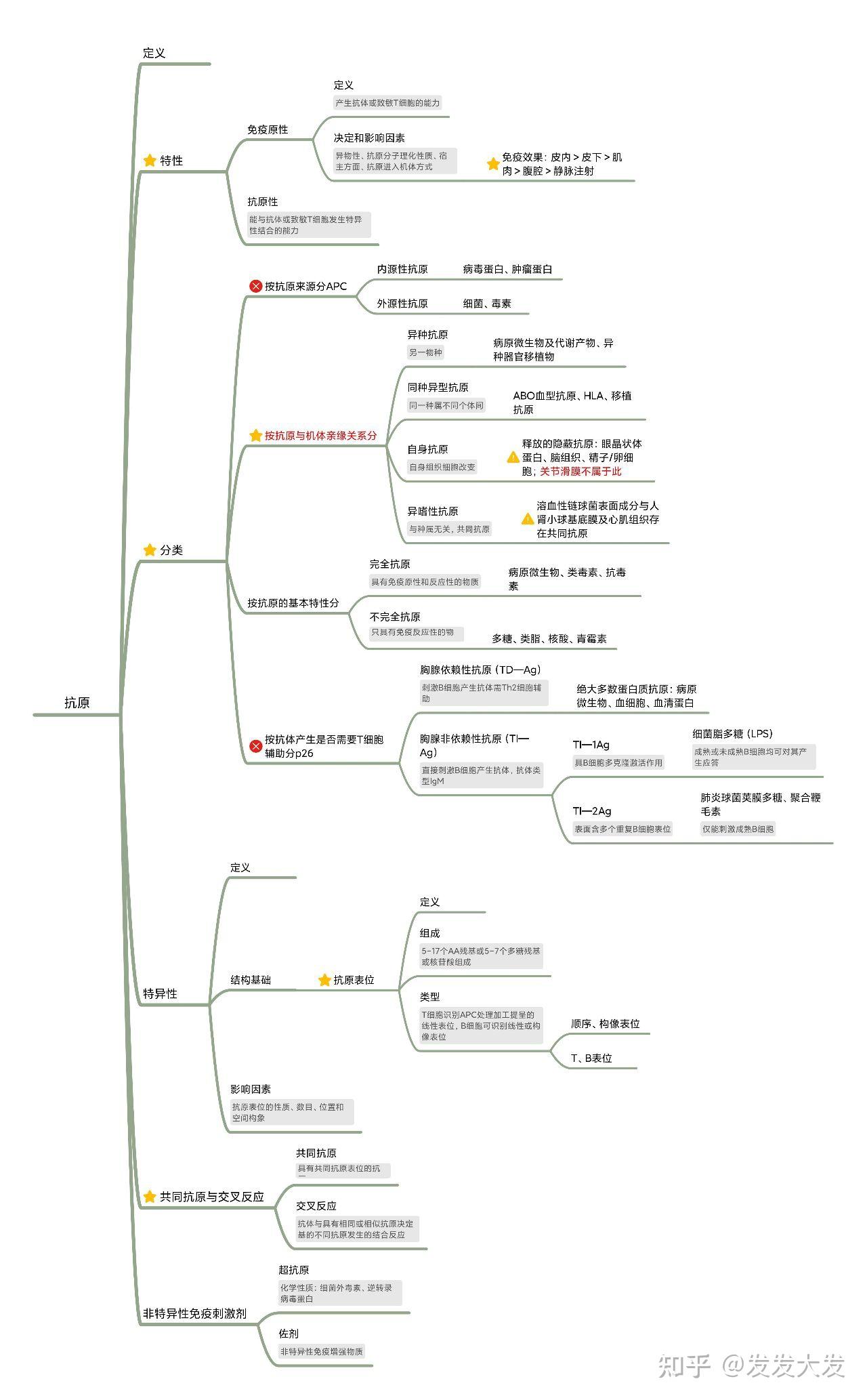 固有免疫思维导图图片