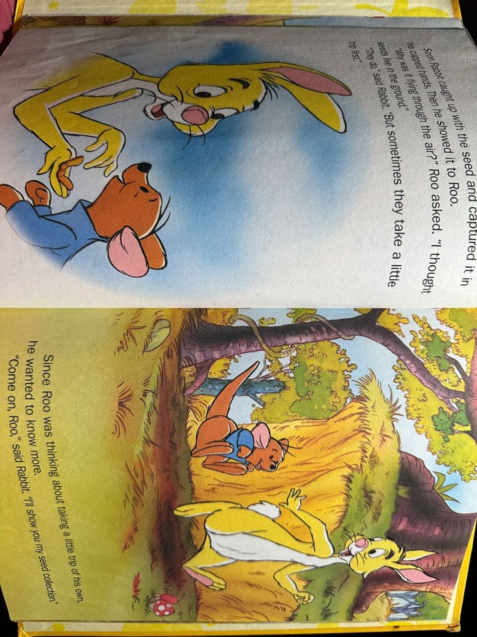 迪士尼袋鼠小豆绘本 9315岀 最近又入手一"天价"小豆周边 真的很