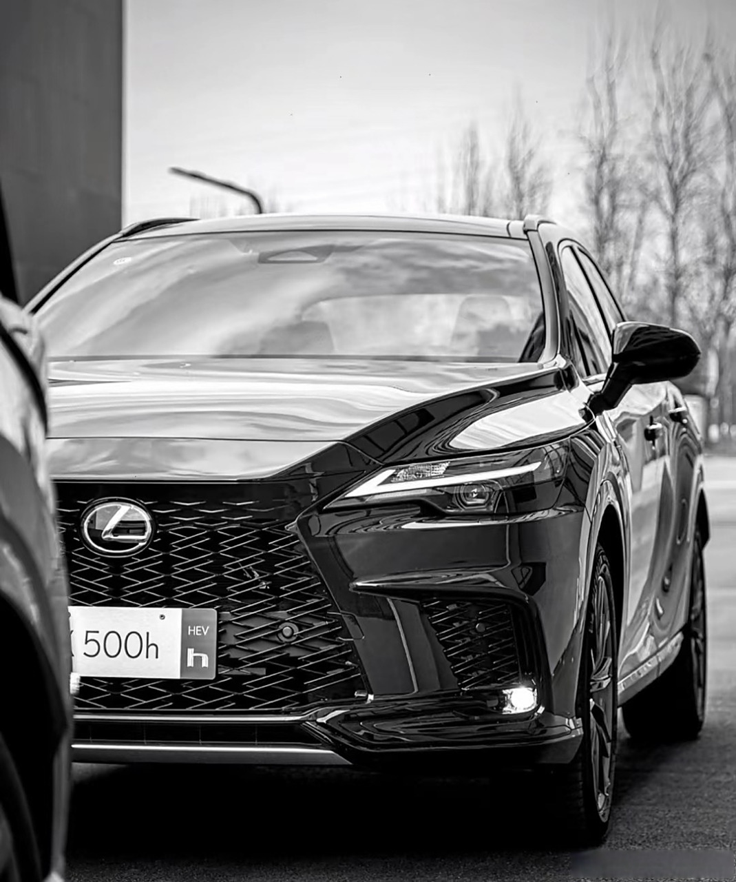 雷克萨斯rx500h,黑武士,话说自从新能源车蓬勃发展以后,雷车也跌落