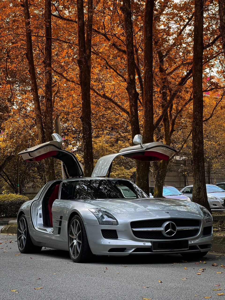 3自吸鸥翼门 今天的翻新项目是这台13年的奔驰sls amg!