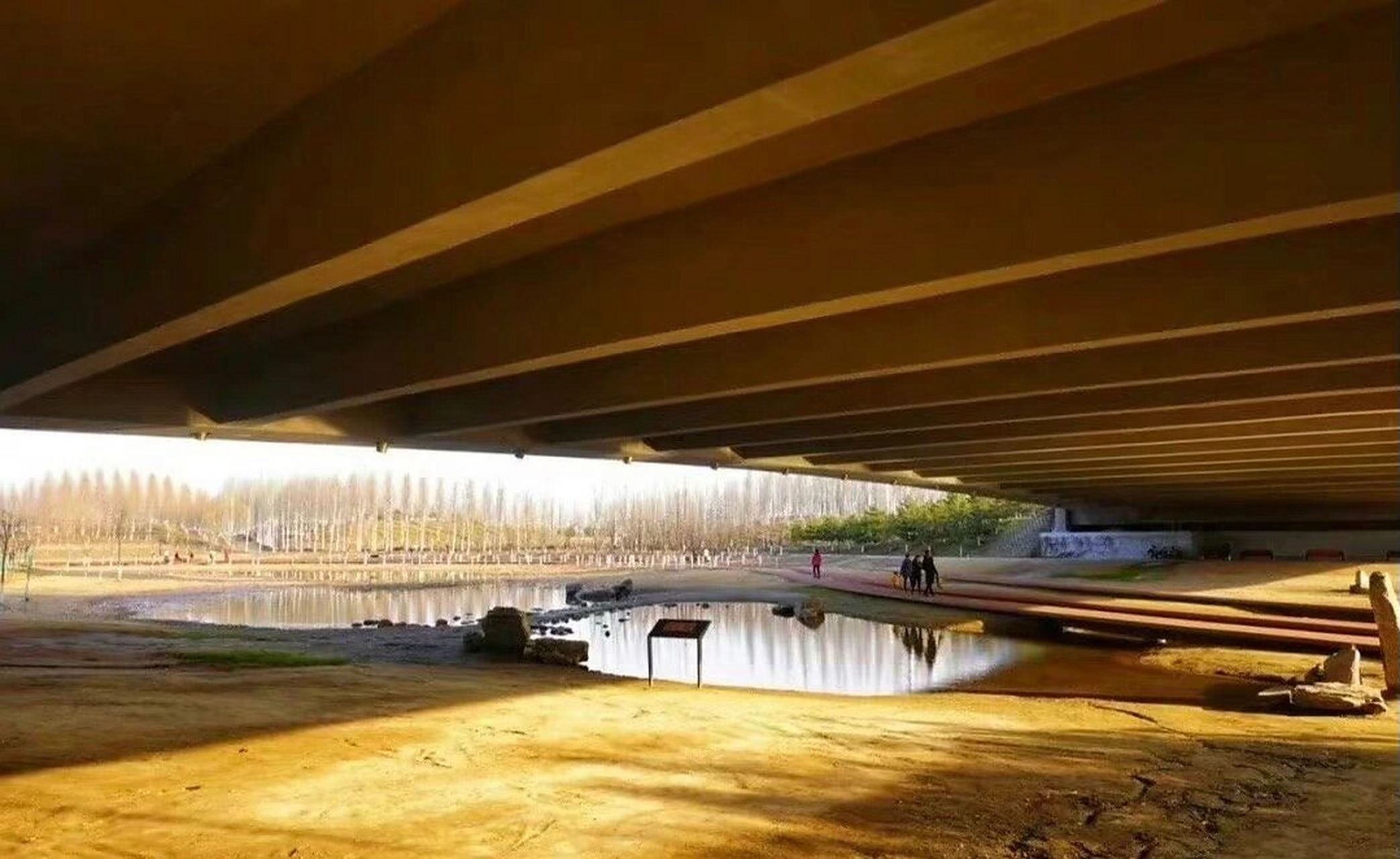 公园(3)|西安:沣西文化公园 沣西文化公园位于陕西省西安市西咸新区