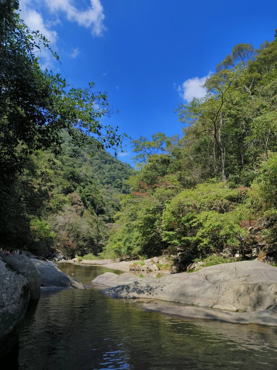 将乐龙栖山自然保护区图片