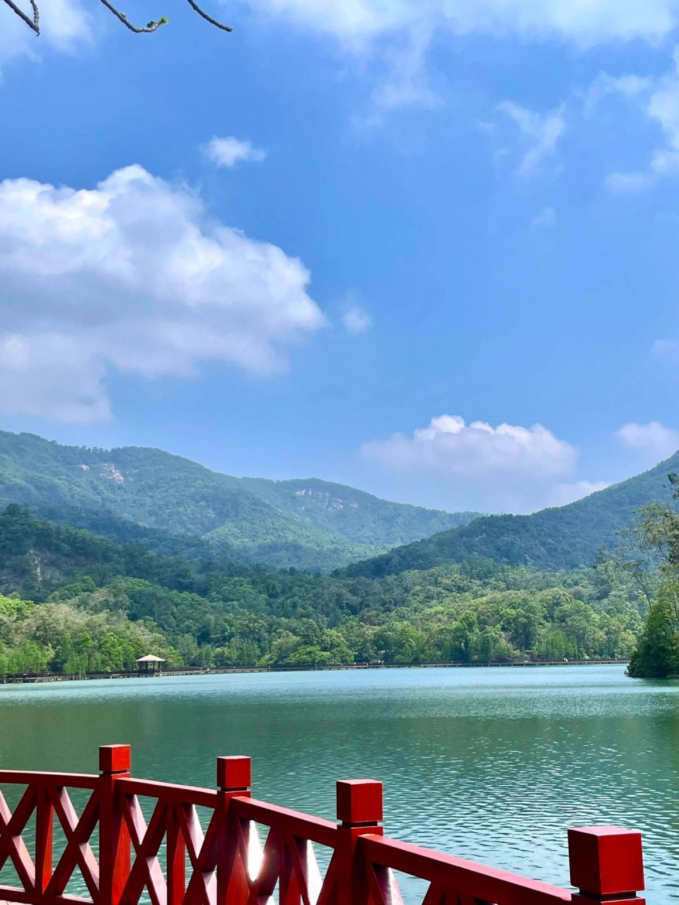 江门新会 | 石涧公园7215 每个季节过来都有不同景色 春天出行