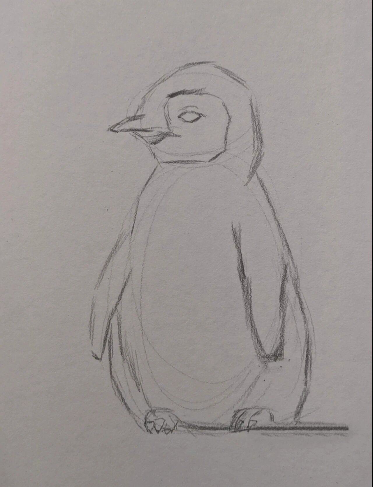 素描小企鹅 绘画过程图文详解