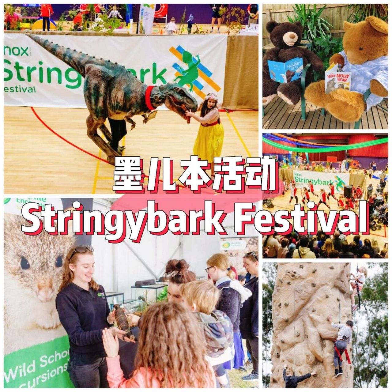 stringybark festival 本周日在 rowville 举行!
