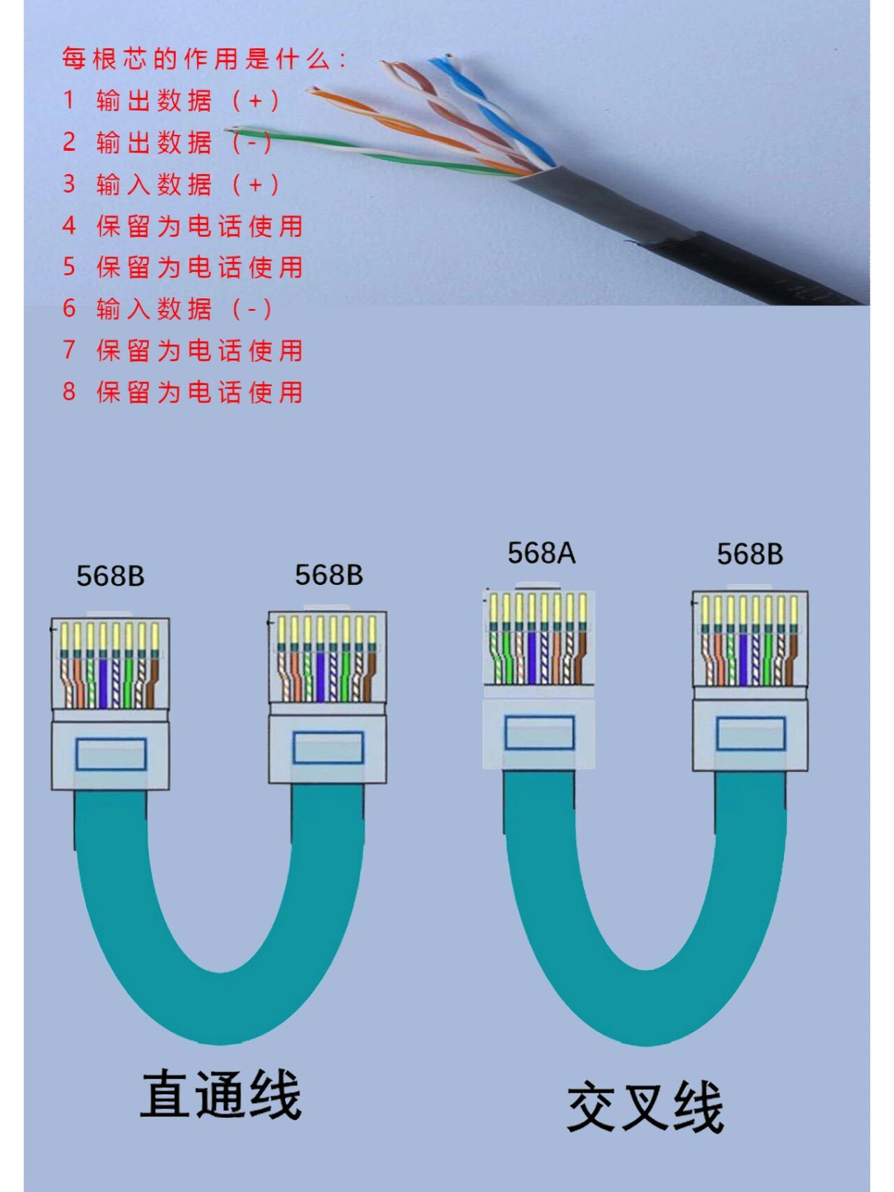 水晶头网线颜色排序图片