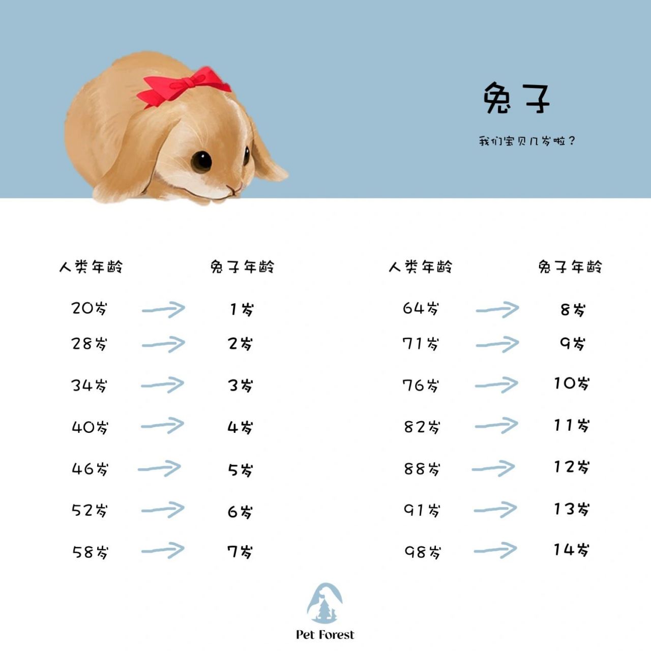 兔子与人类年龄对照表92 算算家里的兔兔现在多大了92