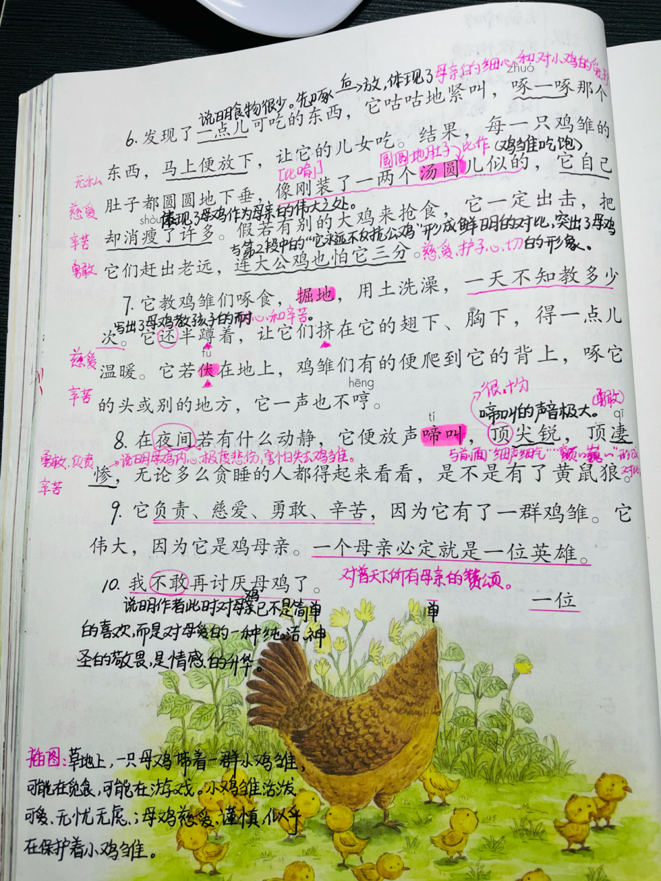 部编四年级下册语文第14课《母鸡》