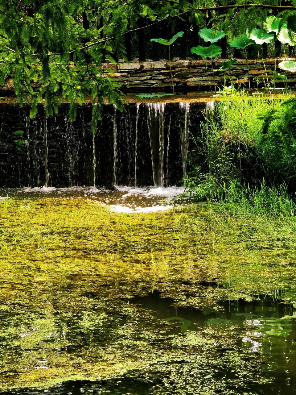 北京潭西胜境景区竟然是消失已久的太平湖 在北京积水潭桥西北角,与车