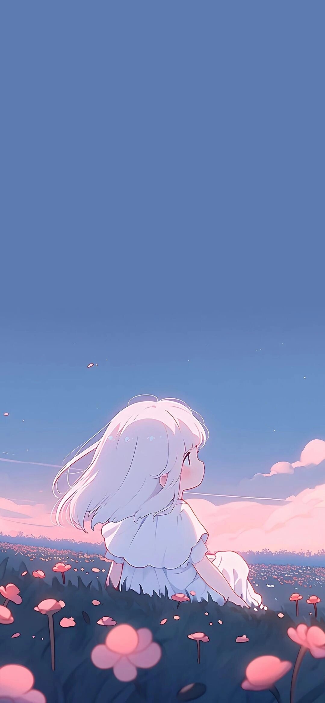 聊天背景图一天换一个