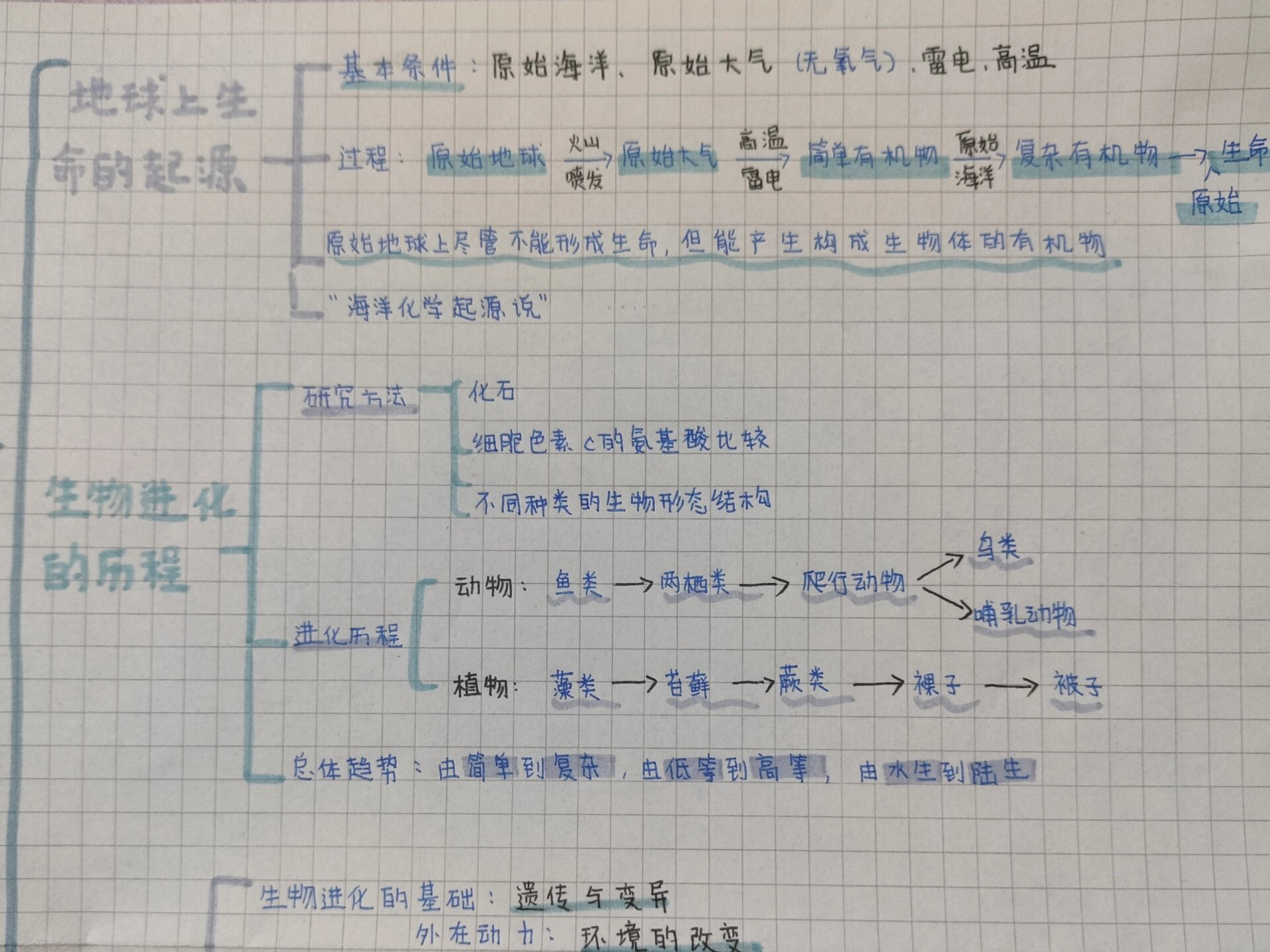 八下生物思维导图第三章