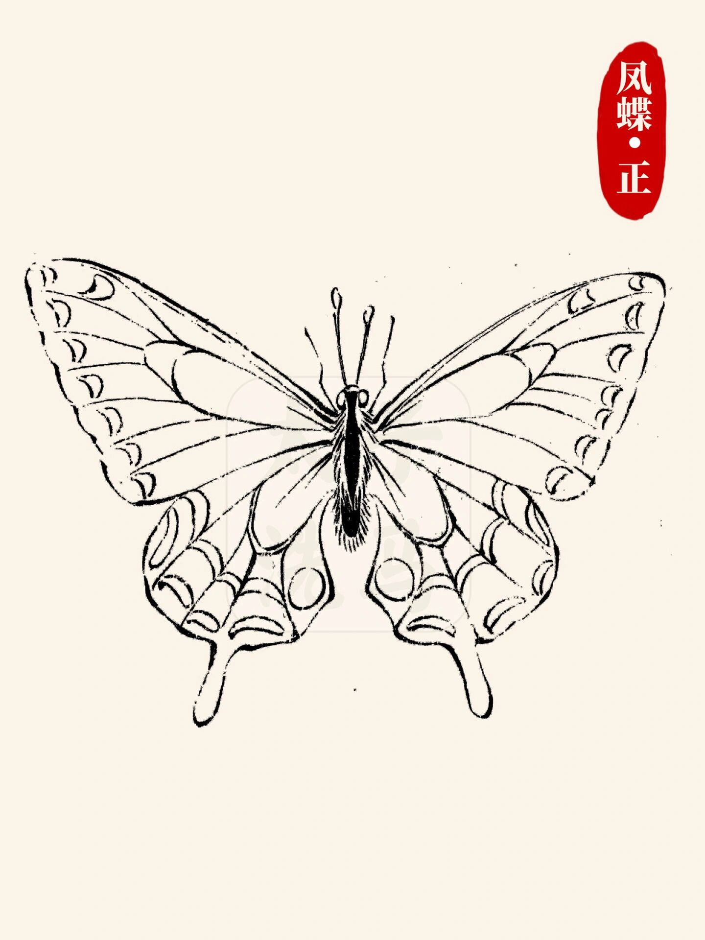 国画入门|03蝴蝶线描/白描合集97持续更新6015