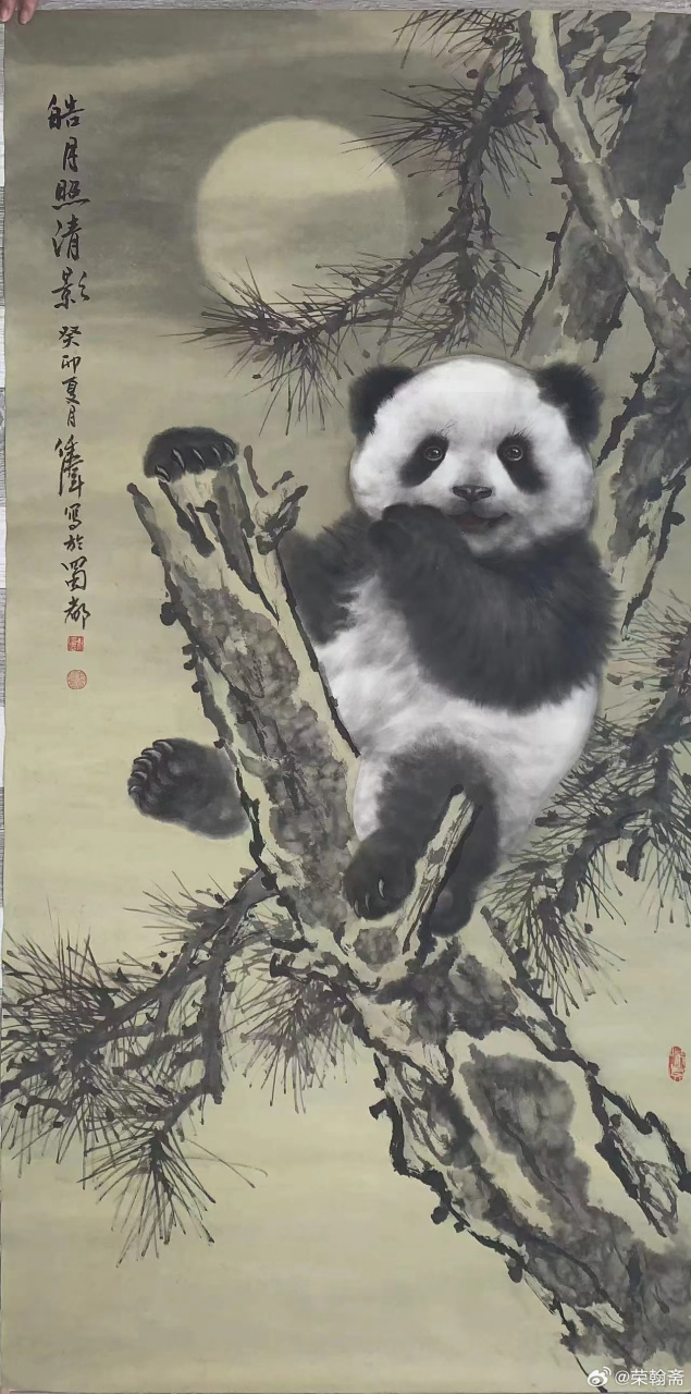 任伟老师精品四尺熊猫#艺术##国画
