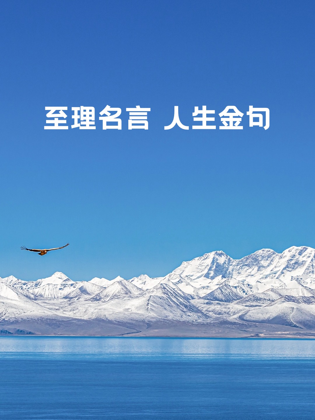 至理名言 人生金句