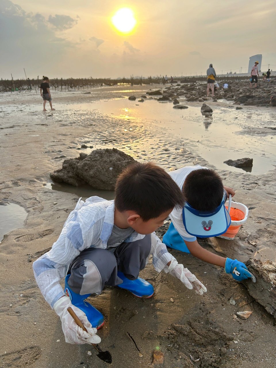 莆田带娃赶海‼️一般人我不告诉的赶海攻略 前天看到我朋友去