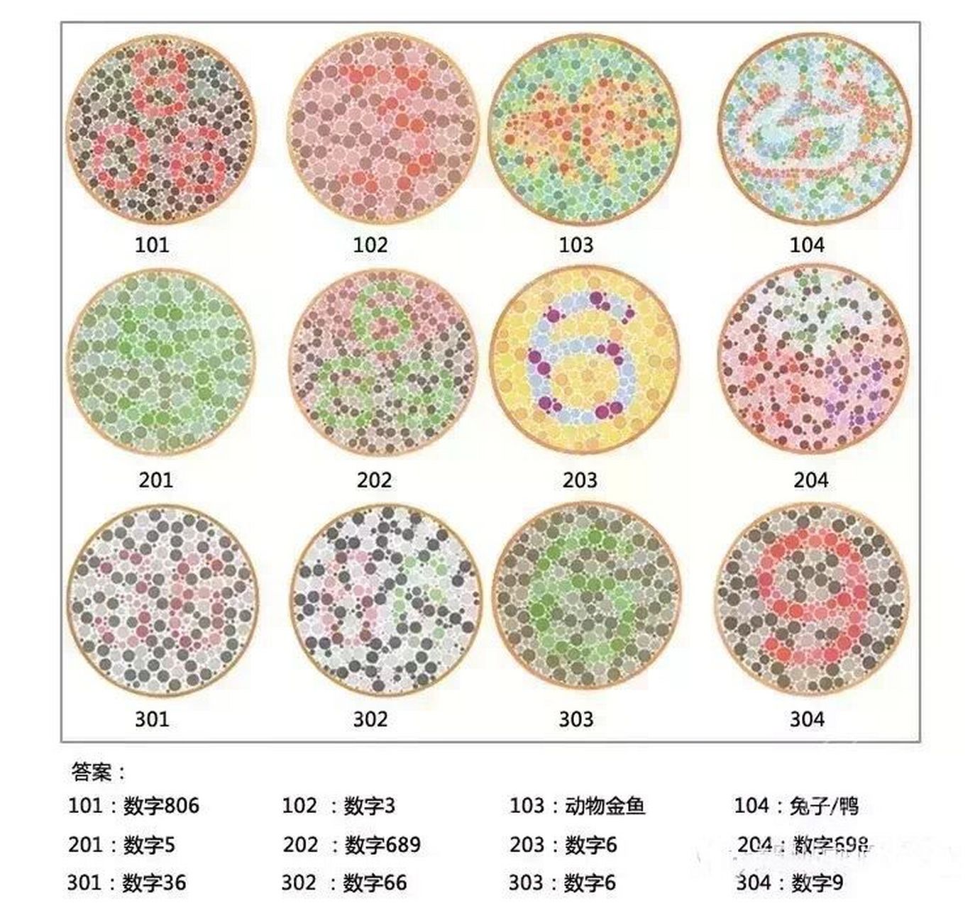 色盲色弱自我检测法(附答案) 红绿色盲者视网膜上缺少感受红光或绿光