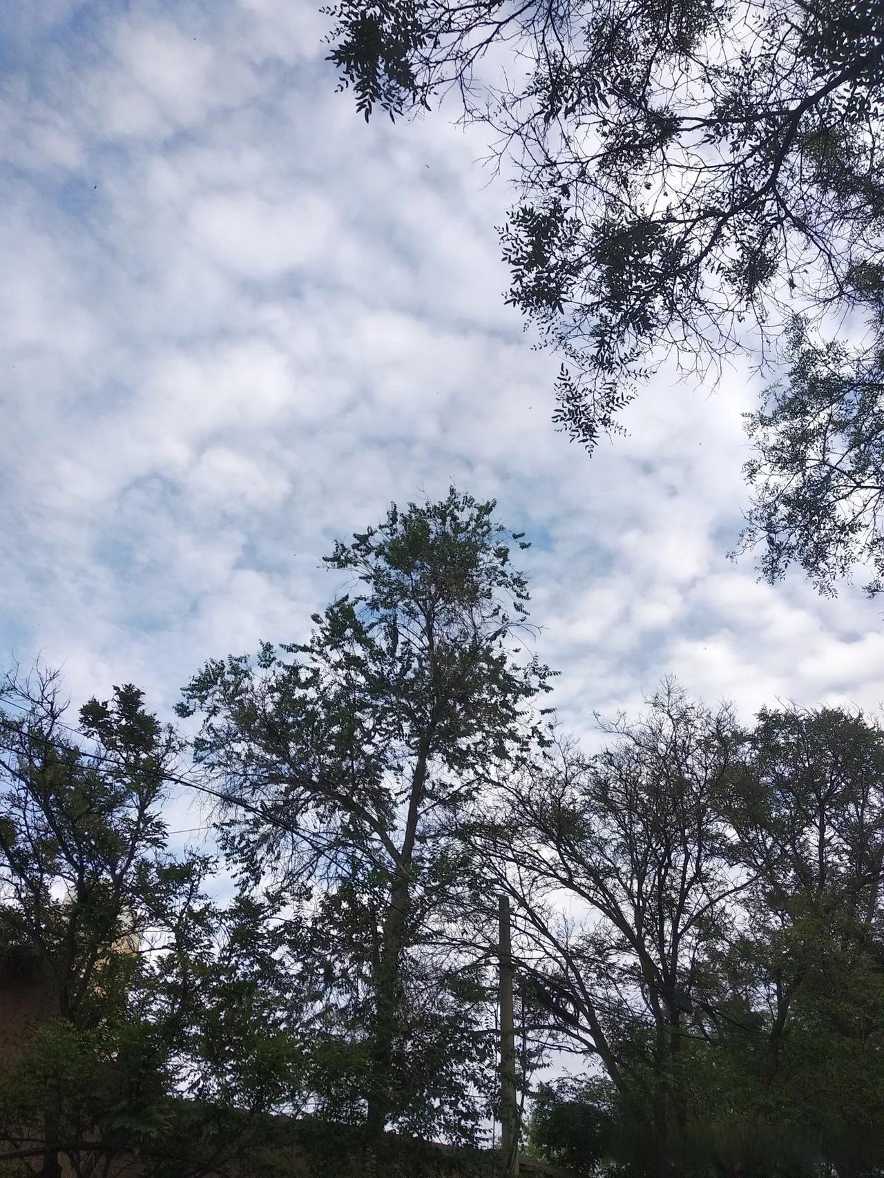 突然明白了我为什么那么爱仰望天空看蓝天白云看皎月辰星