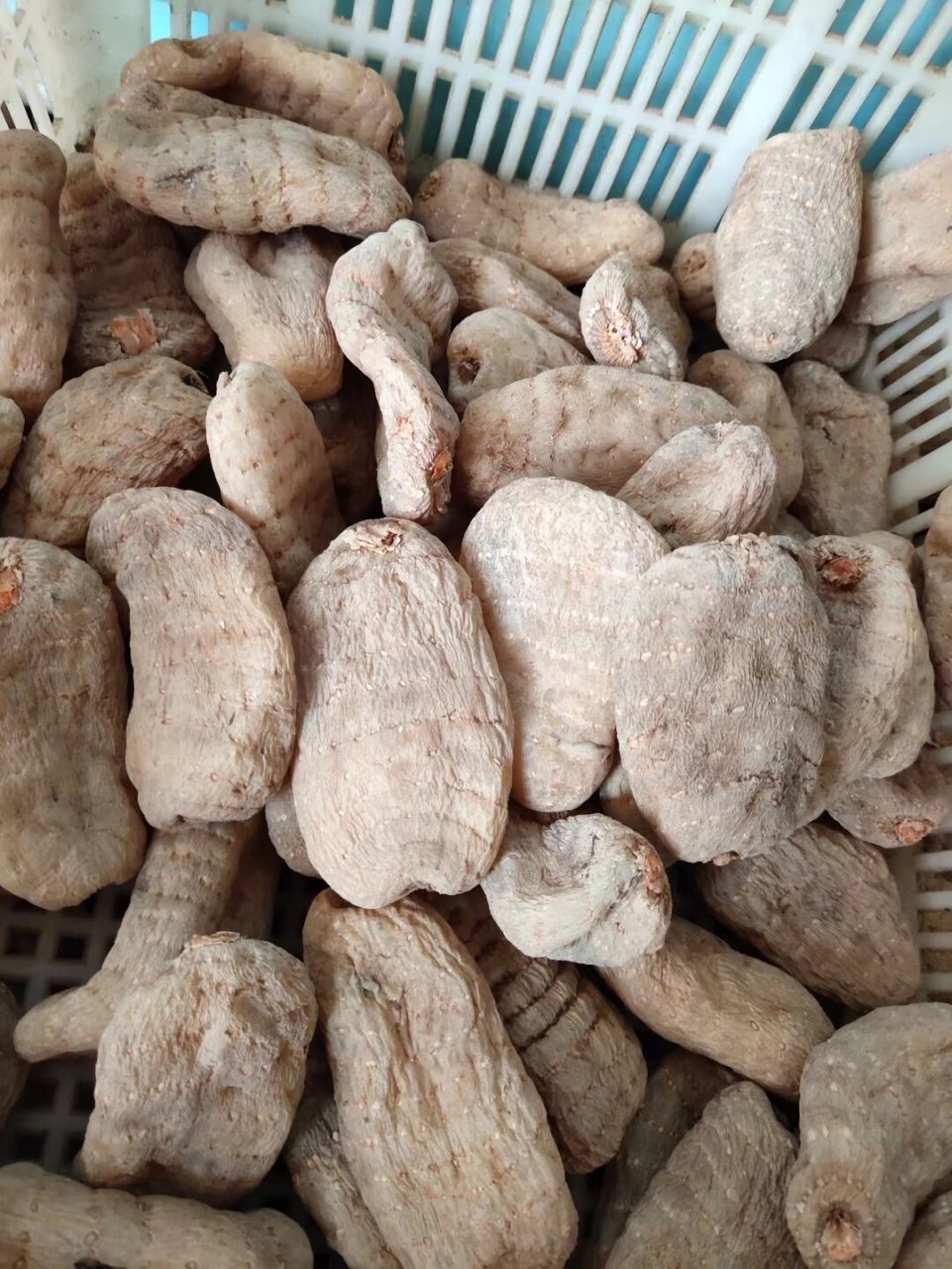 云南省昭通小草坝天麻 小草坝天麻的功效与作用有增强免疫力,祛风通脉