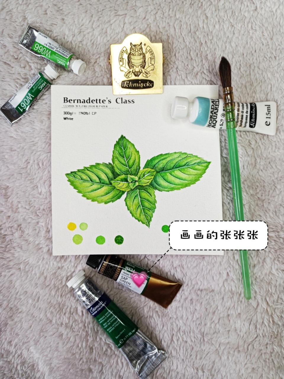 简单适合萌新的水彩薄荷叶画法 出自从零开始画水彩基础团练第一课.