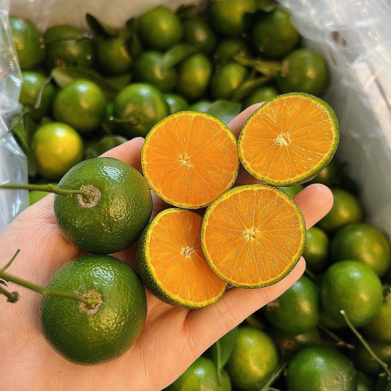 真的可以吃出茶香 茶桔口感很独特,清香,甘甜,还真带着清香的茶95味