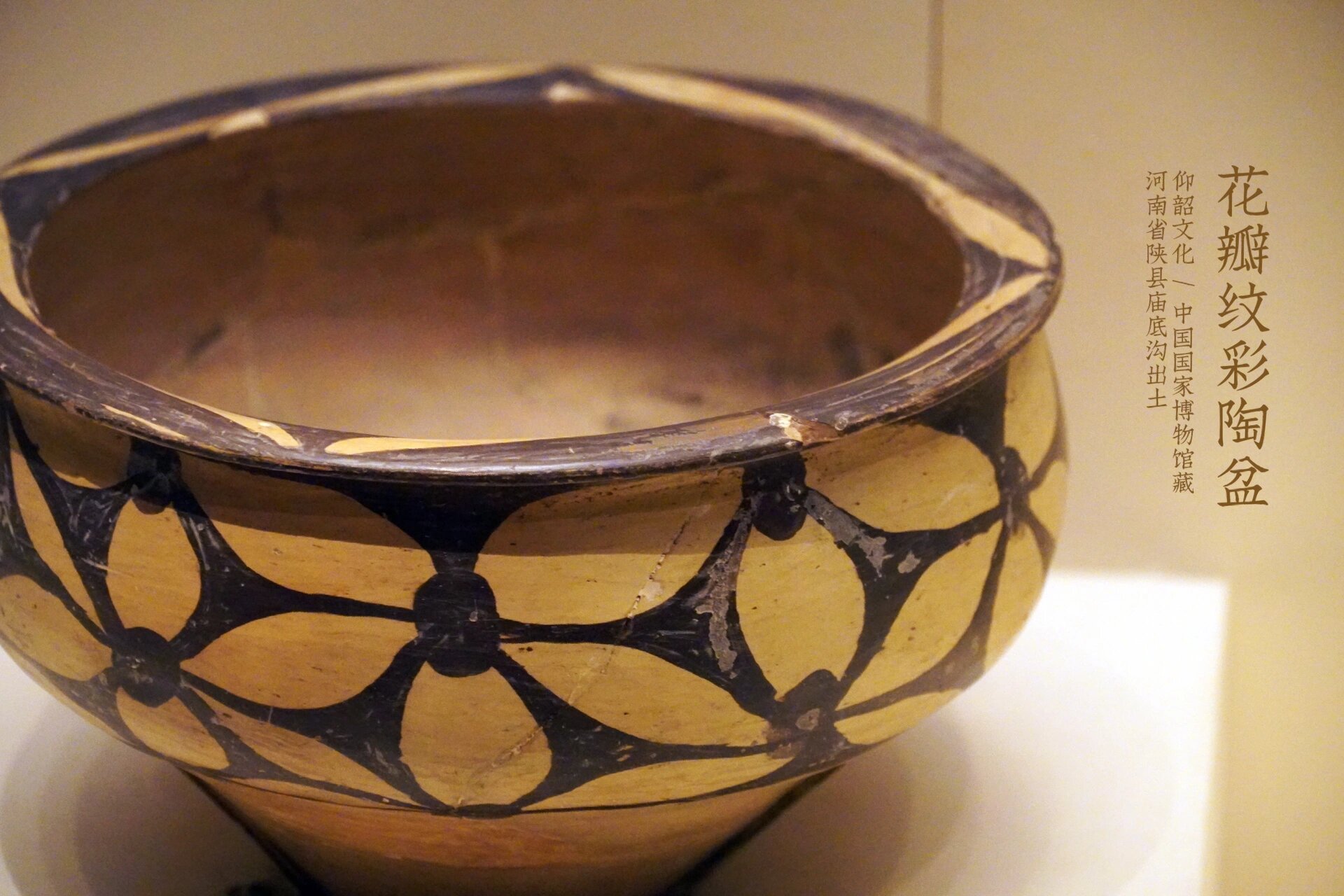 春晚舞台上的庙底沟文化彩陶花瓣纹