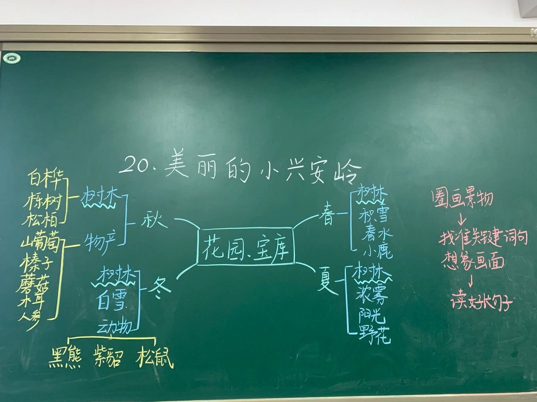 三年级上册语文20课《美丽的小兴安岭》第二课时板书设计