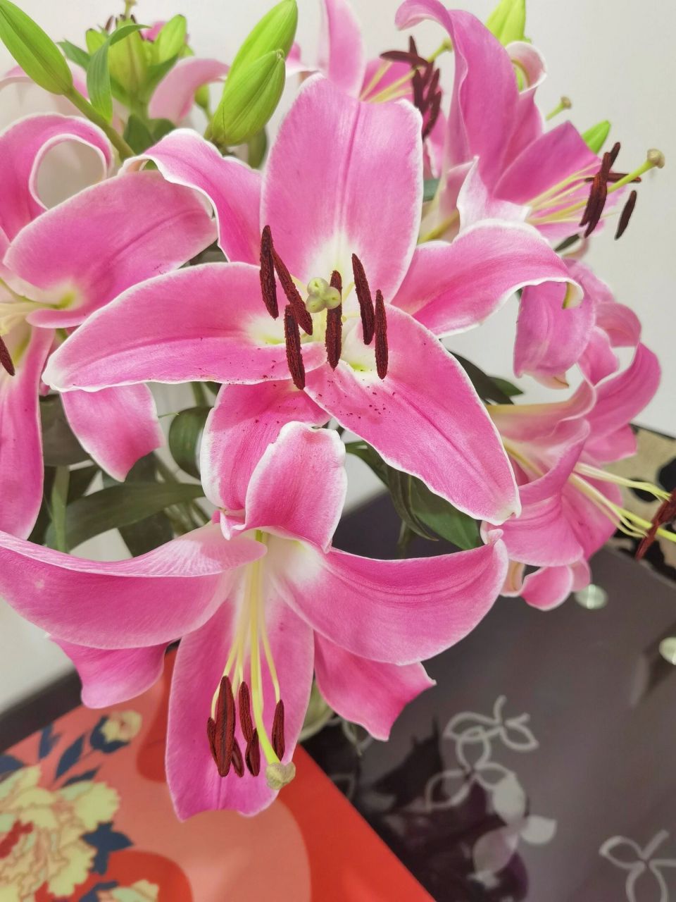 罗宾/罗宾娜·百合 这是一个美丽的误会, 原本是朋友的香水百合, 因为