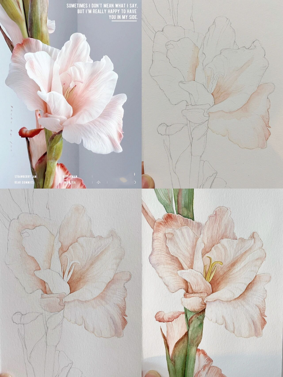 手绘水彩花卉第13张 浅粉色剑兰太好看了 这张原图太好看了,实在调不