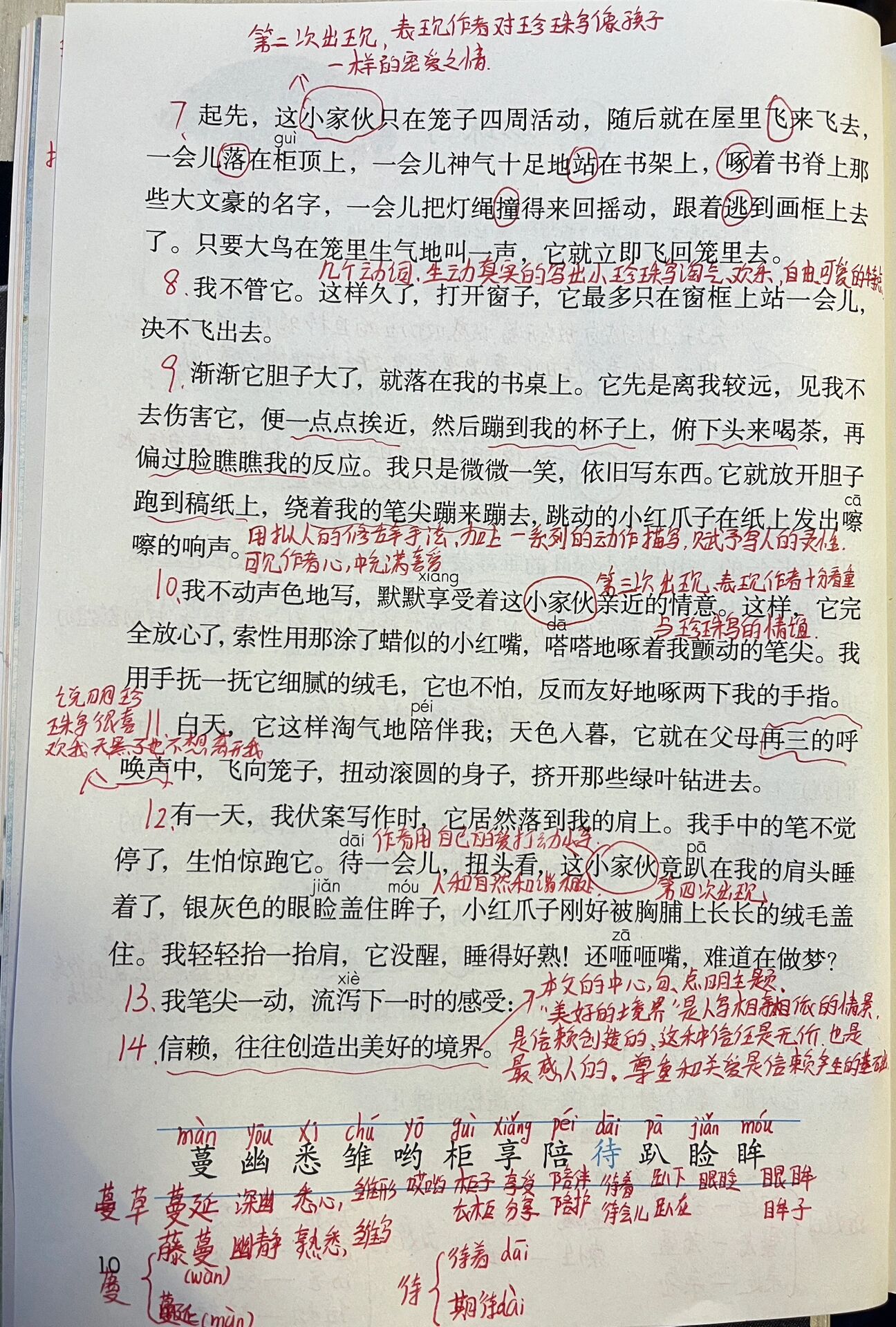 珍珠鸟课堂笔记知识点图片