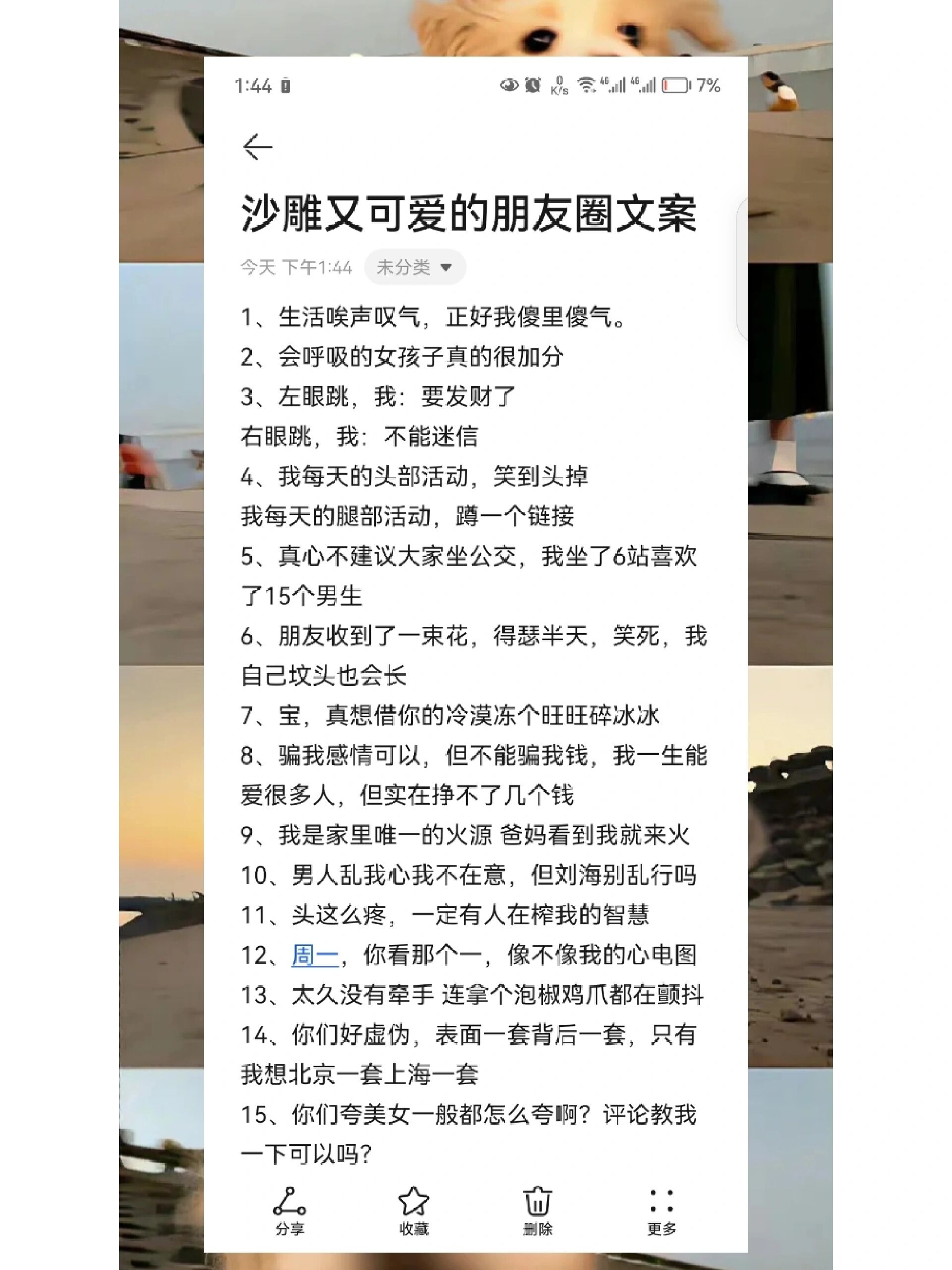 文案沙雕可爱文艺图片