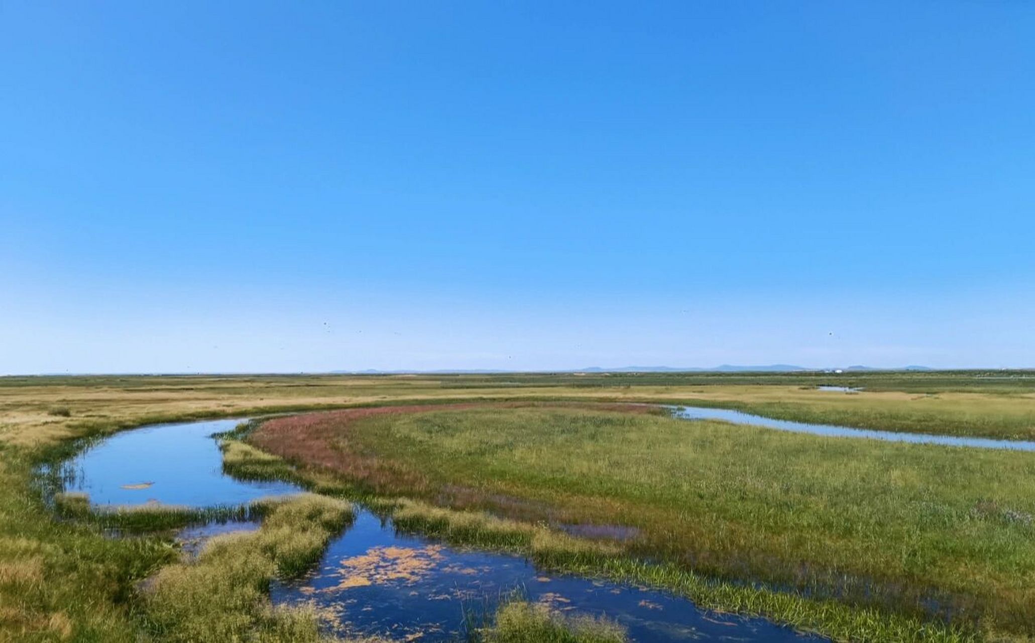 内蒙古贡格尔草原攻略 作为一个内蒙人,一个赤峰人,今年夏天8月初去了