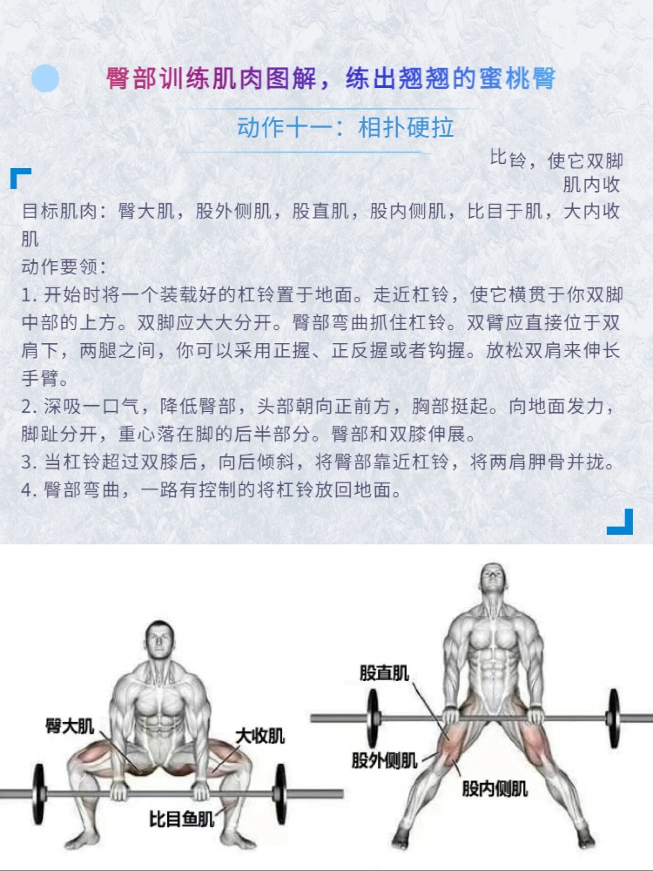 男士臀部肌肉锻炼方法图片