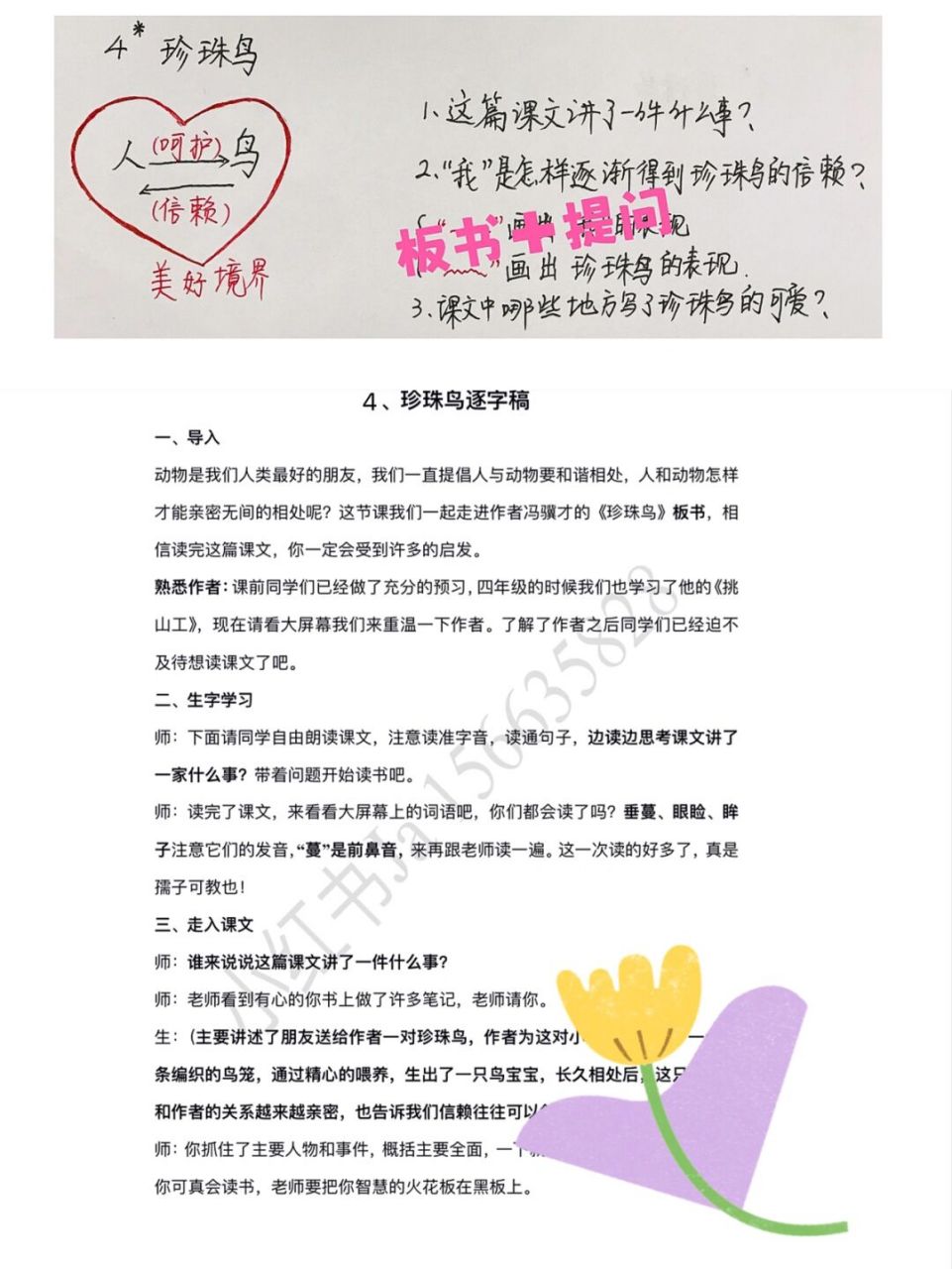 小语五上第4课*《珍珠鸟》试讲逐字稿 力求以创7115需要一键三连
