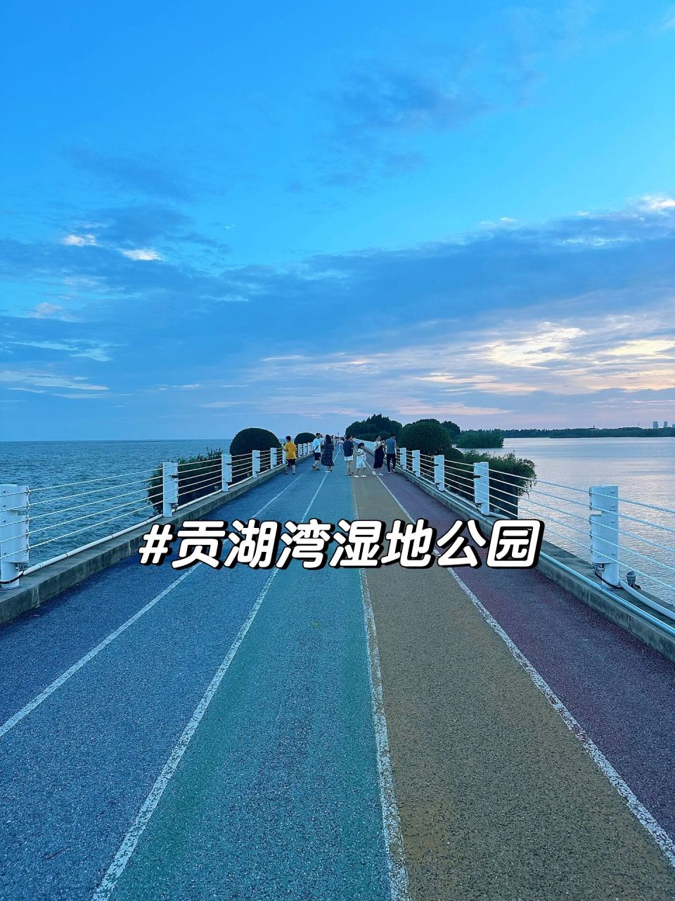 贡湖湾湿地公园介绍图片