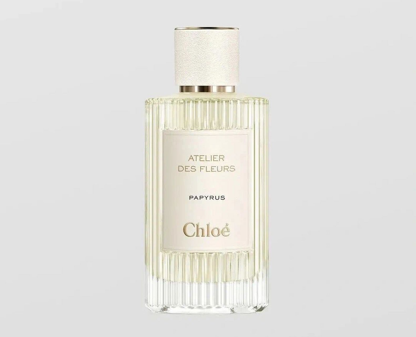 蔻依 纸莎草秘境珍香——纸莎草solo ★★★★ 看来读者老爷对蔻依