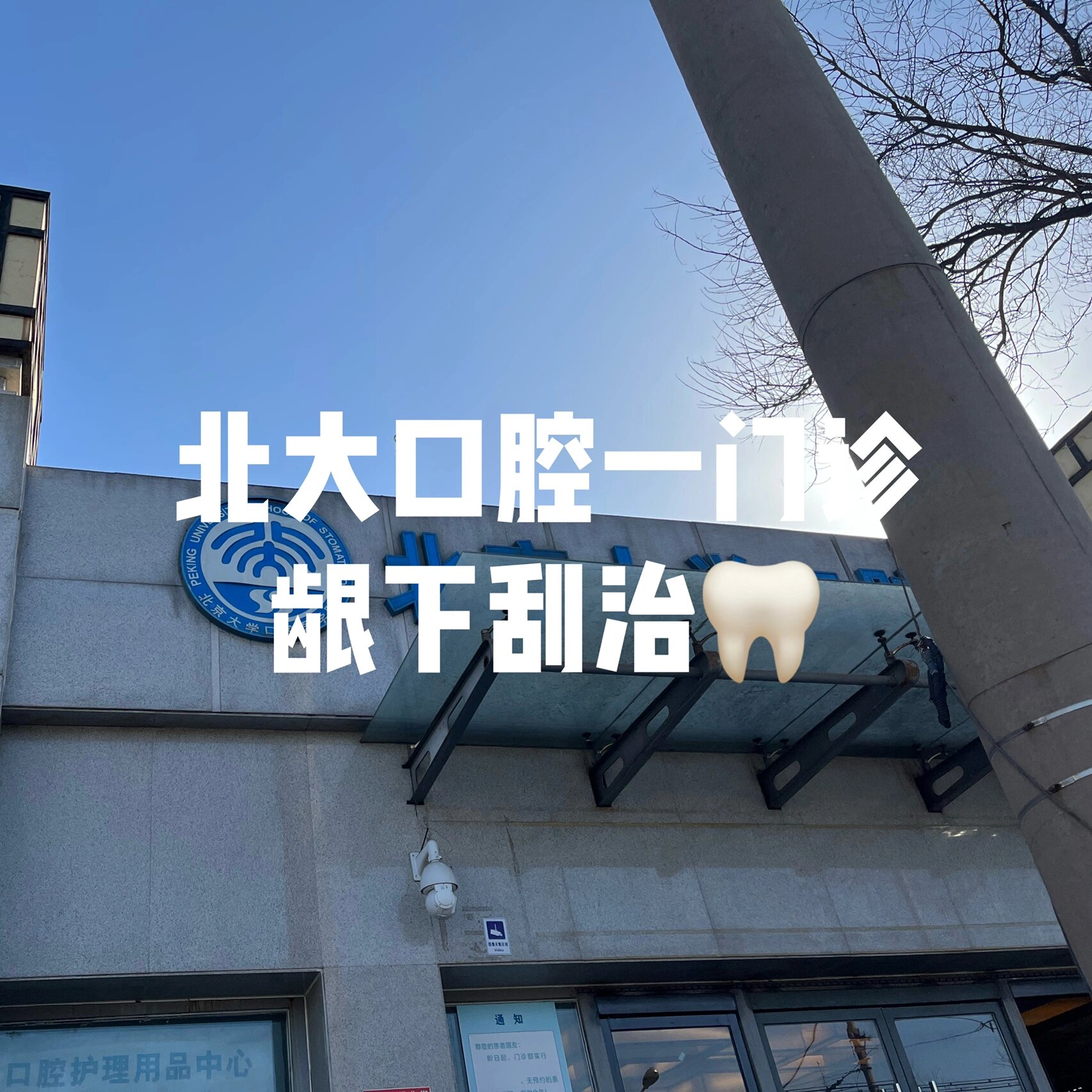 北京大学口腔医院代诊挂号服务独居人群就医陪伴，安心无顾虑的简单介绍