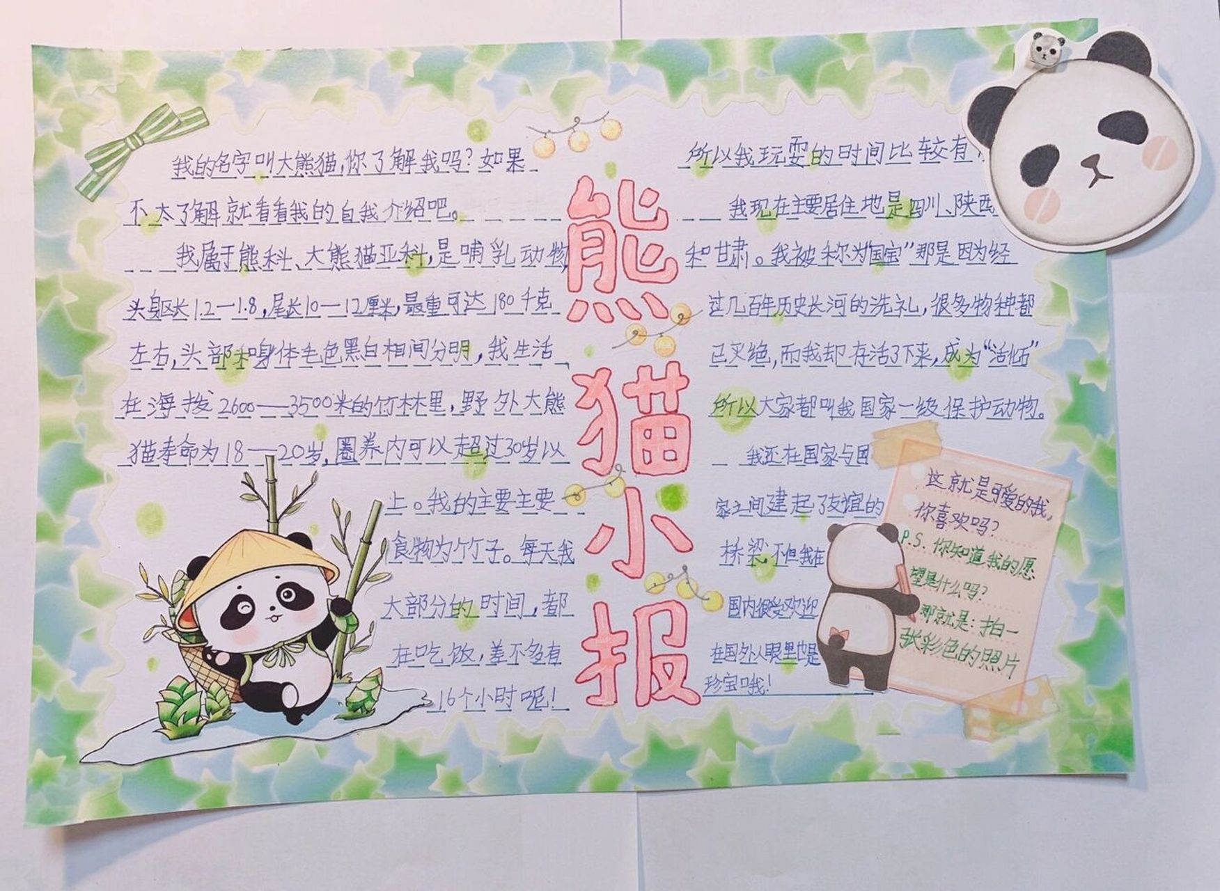保护熊猫手抄报内容字图片